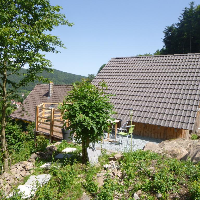 Gite La Bergerie Chalet Independant Kirchberg Phòng bức ảnh