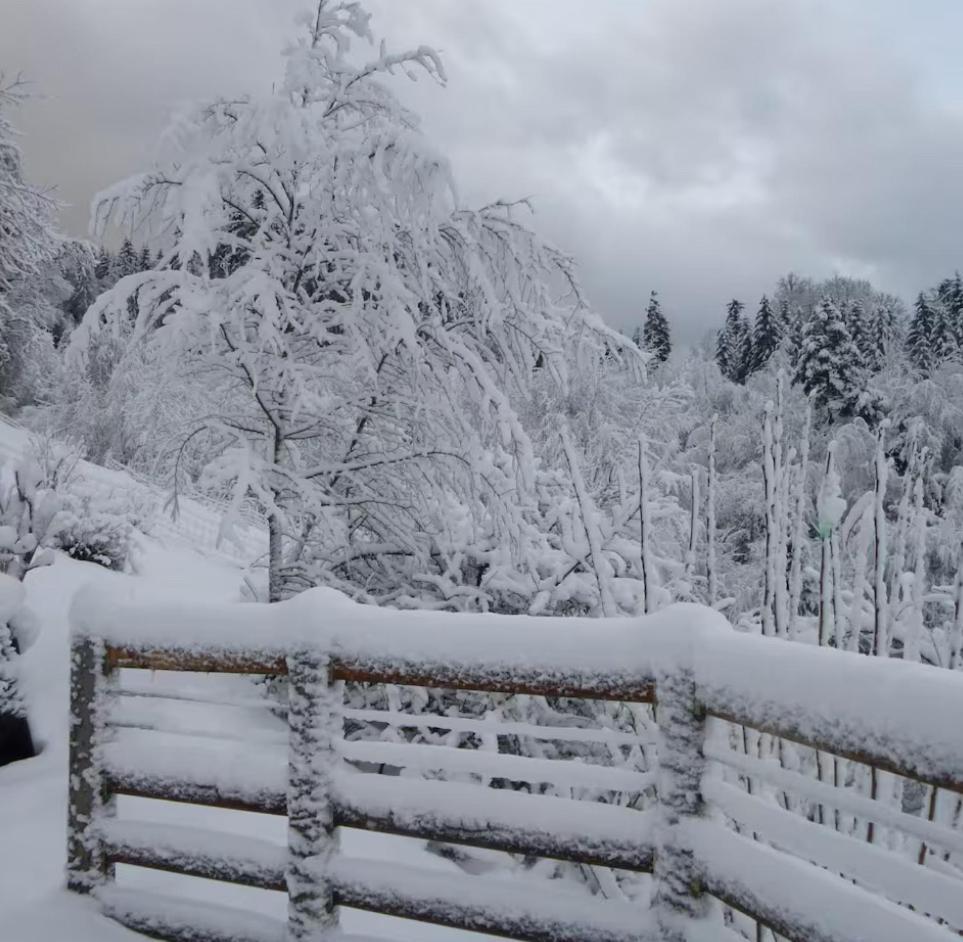 Gite La Bergerie Chalet Independant Kirchberg Ngoại thất bức ảnh
