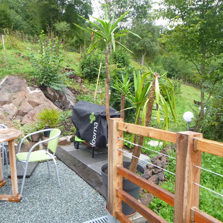 Gite La Bergerie Chalet Independant Kirchberg Phòng bức ảnh
